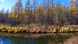 内蒙古自治区・の写真　錦秋の阿尓山5-8