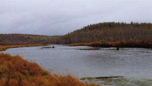 内蒙古自治区・の写真 錦秋の阿尓山6-10