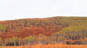 内蒙古自治区・の写真 錦秋の阿尓山6-11
