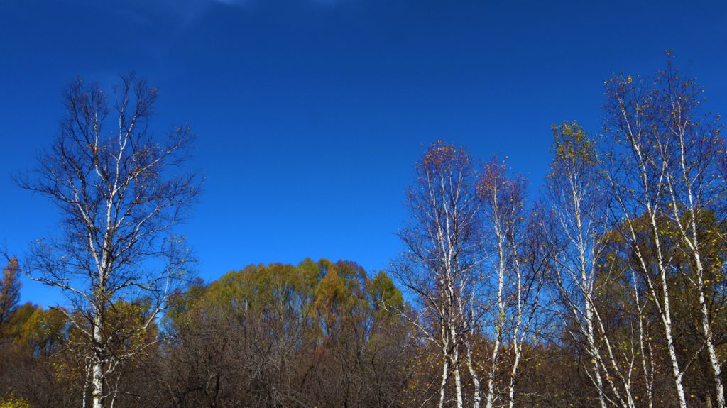 内蒙古自治区・の写真 錦秋の阿尓山6-5