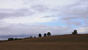 内蒙古自治区・の写真 錦秋の阿尓山6-8