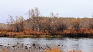 内蒙古自治区・の写真 錦秋の阿尓山6-9