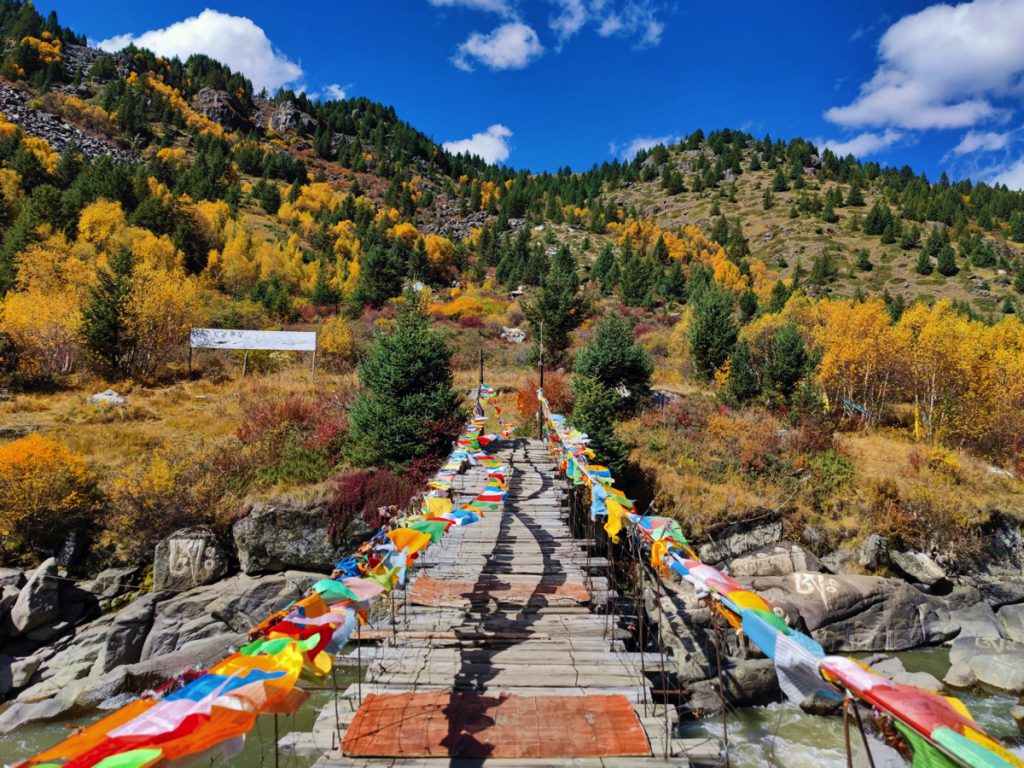 四川省・八美高原の写真　八美の紅葉に魅せられて4-1