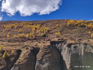四川省・八美高原の写真　八美の紅葉に魅せられて4-9