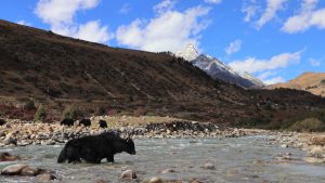 四川省・格聶（グニエ）神山の写真　神山を仰ぎ格聶（グニエ）南綫を行く-7