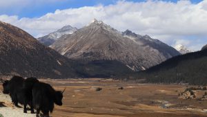 四川省・扎瓦拉峠・巴塘・理塘の写真　海抜5千ｍの扎瓦拉峠を越え巴搪、理塘へ-11