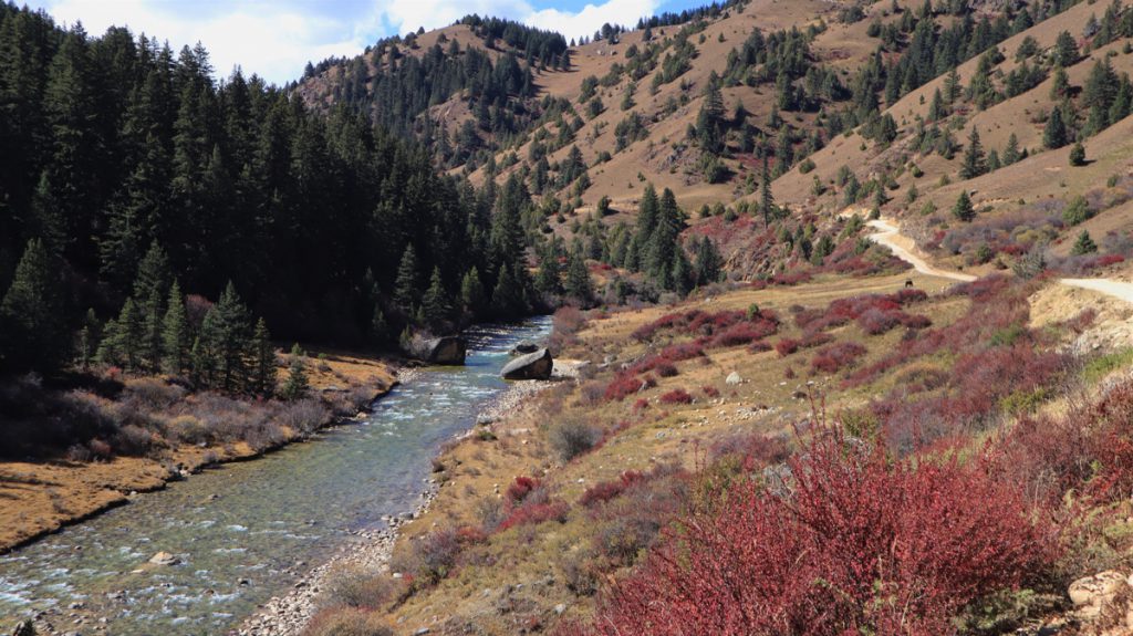四川省・扎瓦拉峠・巴塘・理塘の写真　海抜5千ｍの扎瓦拉峠を越え巴搪、理塘へ-4