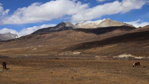 四川省・扎瓦拉峠・巴塘・理塘の写真　海抜5千ｍの扎瓦拉峠を越え巴搪、理塘へ-7