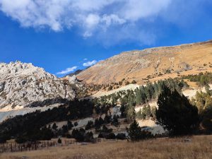 四川省・の写真　海抜5千ｍの扎瓦拉峠を越え巴搪、理塘へ2-7