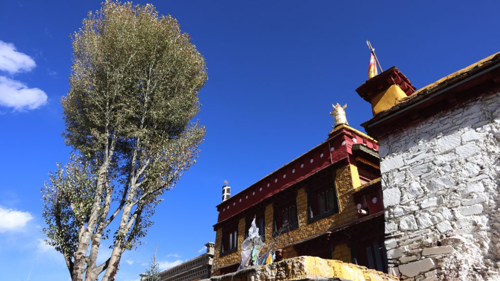 四川省・の写真　海抜5千ｍの扎瓦拉峠を越え巴搪、理塘へ7-2