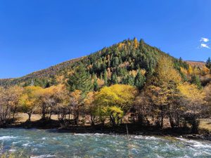 四川省・冷嘎措、楽山大仏の写真　貢嘎崇拝-10