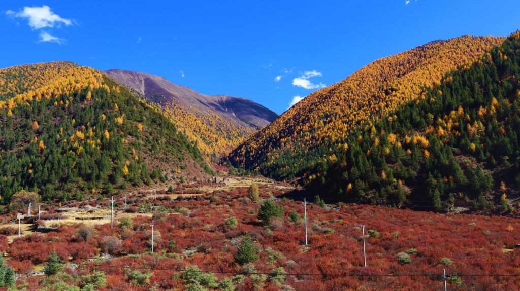 四川省・冷嘎措、楽山大仏の写真　貢嘎崇拝-4