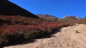 四川省・の写真　貢嘎崇拝2-7