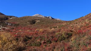 四川省・の写真　貢嘎崇拝2-8