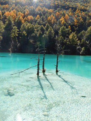 雲南省・玉龍雪山、玉龍雪山と藍月谷、麗江古城の写真　古城と神の雪山2-7