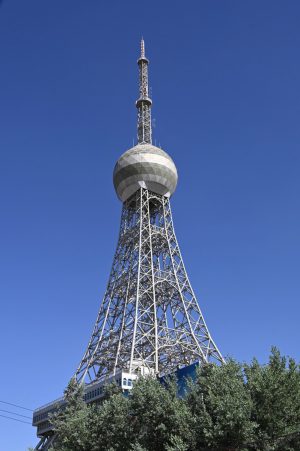 新疆ウィグル自治区・塔里木（タリム）盆地の写真　胡楊林を染めるタリムの夕陽-10