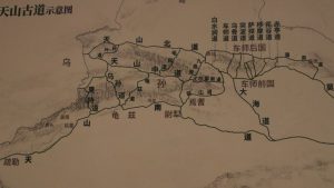 新疆ウィグル自治区・塔里木（タリム）盆地の写真　胡楊林を染めるタリムの夕陽-11