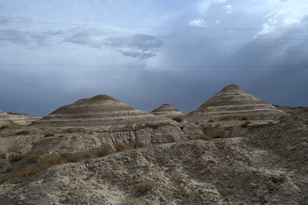 新疆ウィグル自治区・塔里木（タリム）盆地の写真　胡楊林を染めるタリムの夕陽-2