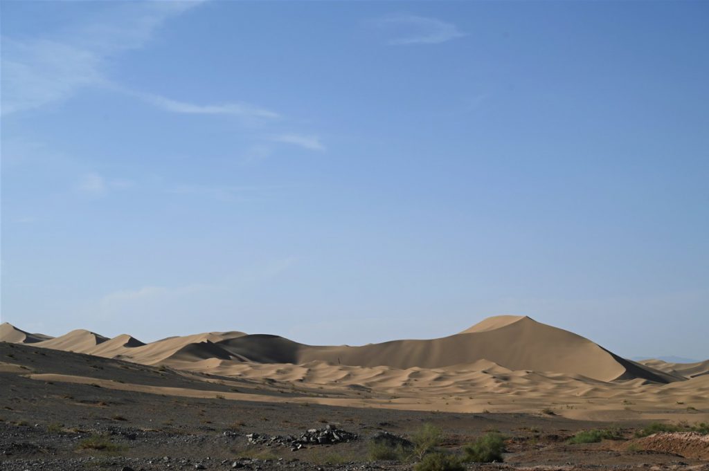 新疆ウィグル自治区・塔里木（タリム）盆地の写真　胡楊林を染めるタリムの夕陽2-1