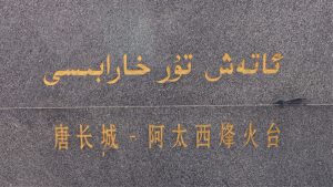 新疆ウィグル自治区・塔里木（タリム）盆地の写真　胡楊林を染めるタリムの夕陽2-11