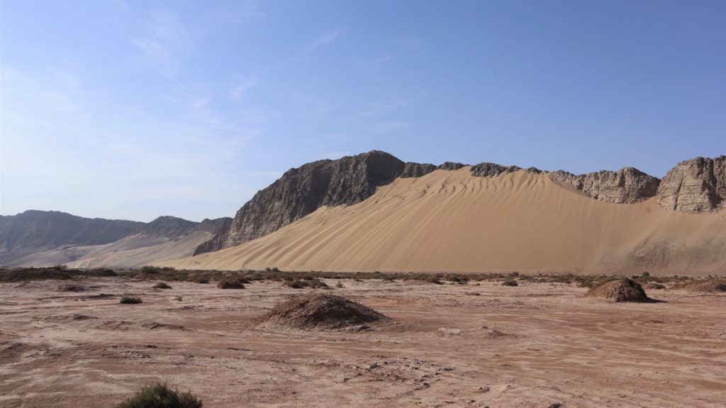 新疆ウィグル自治区・塔里木（タリム）盆地の写真　胡楊林を染めるタリムの夕陽2-2