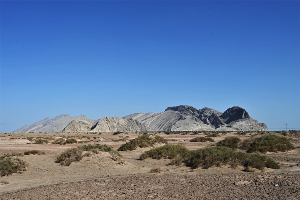 新疆ウィグル自治区・塔里木（タリム）盆地の写真　胡楊林を染めるタリムの夕陽2-3