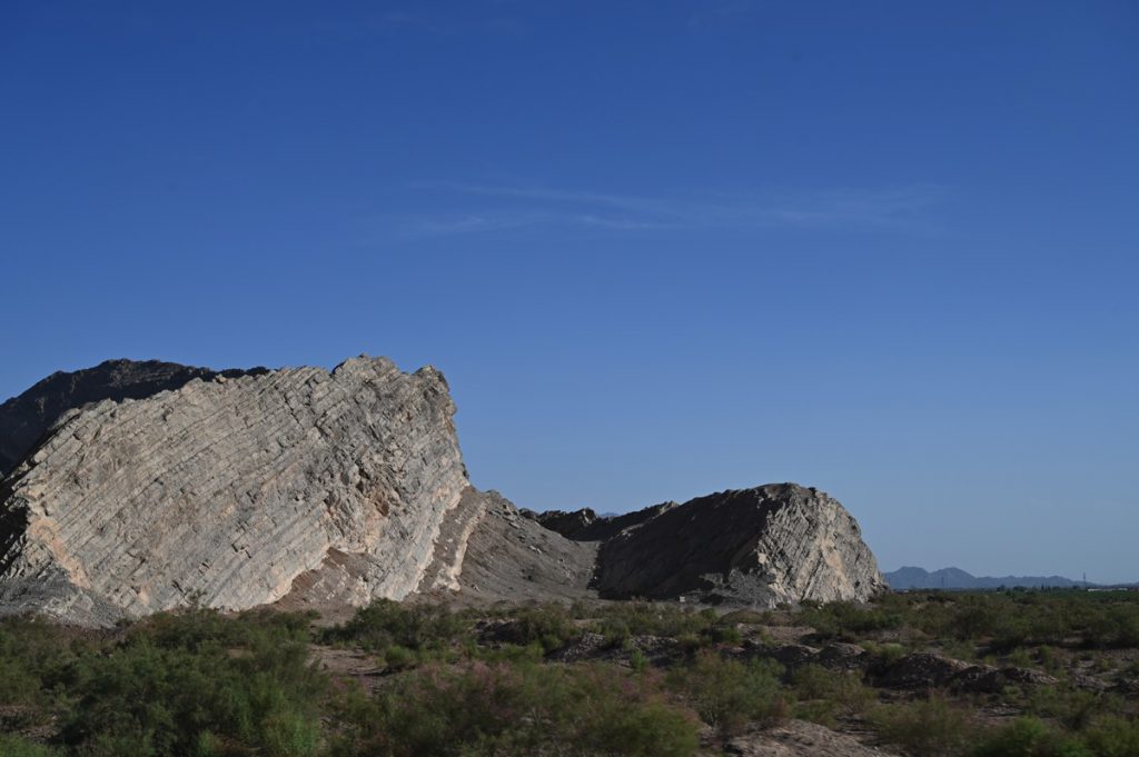 新疆ウィグル自治区・塔里木（タリム）盆地の写真　胡楊林を染めるタリムの夕陽2-4