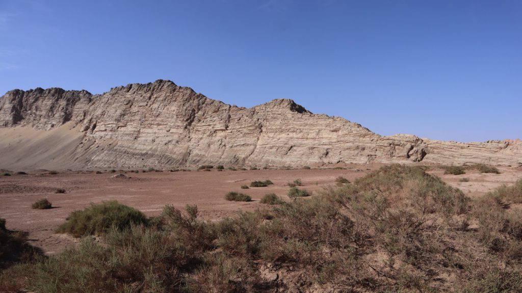 新疆ウィグル自治区・塔里木（タリム）盆地の写真　胡楊林を染めるタリムの夕陽2-5