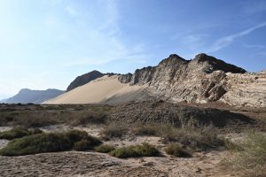 新疆ウィグル自治区・塔里木（タリム）盆地の写真　胡楊林を染めるタリムの夕陽2-6