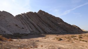 新疆ウィグル自治区・塔里木（タリム）盆地の写真　胡楊林を染めるタリムの夕陽2-7
