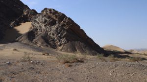 新疆ウィグル自治区・塔里木（タリム）盆地の写真　胡楊林を染めるタリムの夕陽2-8