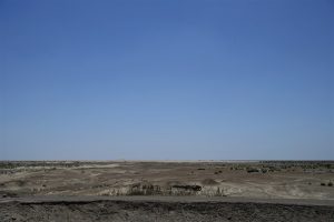 新疆ウィグル自治区・塔里木（タリム）盆地の写真　胡楊林を染めるタリムの夕陽2-9