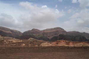 新疆ウィグル自治区・塔里木（タリム）盆地の写真　胡楊林を染めるタリムの夕陽5-10
