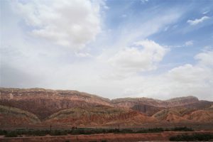 新疆ウィグル自治区・塔里木（タリム）盆地の写真　胡楊林を染めるタリムの夕陽5-11