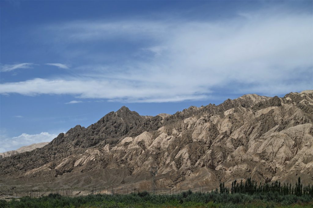 新疆ウィグル自治区・塔里木（タリム）盆地の写真　胡楊林を染めるタリムの夕陽5-4