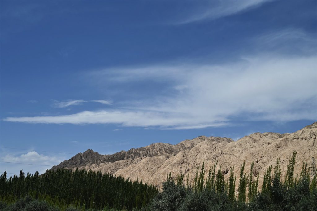 新疆ウィグル自治区・塔里木（タリム）盆地の写真　胡楊林を染めるタリムの夕陽5-5