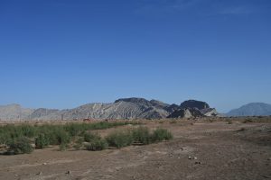 新疆ウィグル自治区・塔里木（タリム）盆地の写真　胡楊林を染めるタリムの夕陽5-6