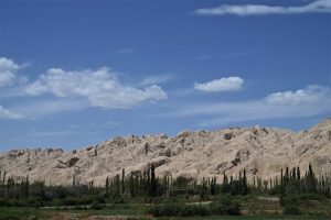 新疆ウィグル自治区・塔里木（タリム）盆地の写真　胡楊林を染めるタリムの夕陽5-8