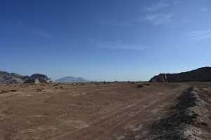 新疆ウィグル自治区・塔里木（タリム）盆地の写真　胡楊林を染めるタリムの夕陽5-9