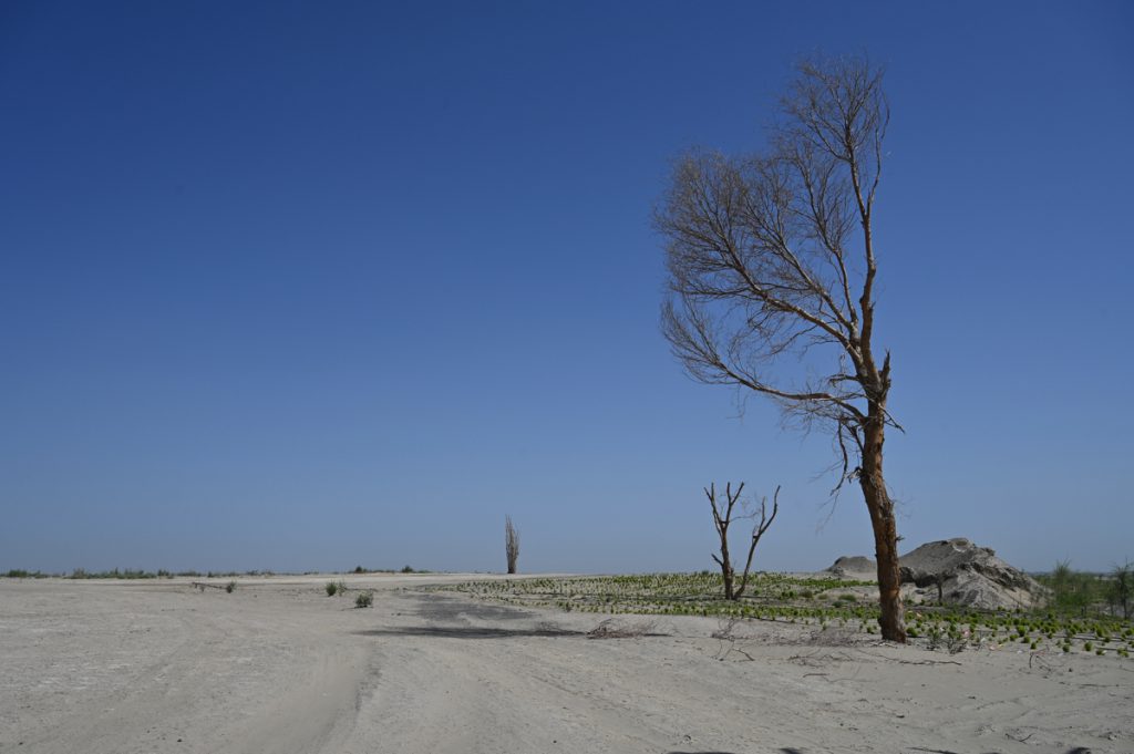 新疆ウィグル自治区・タクラマカン砂漠の写真　茫茫沙漠（果てなき砂漠）-1