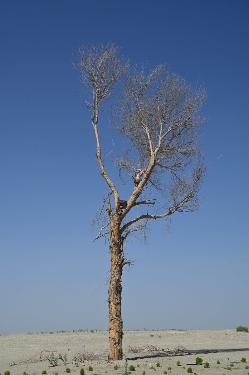 新疆ウィグル自治区・タクラマカン砂漠の写真　茫茫沙漠（果てなき砂漠）-2