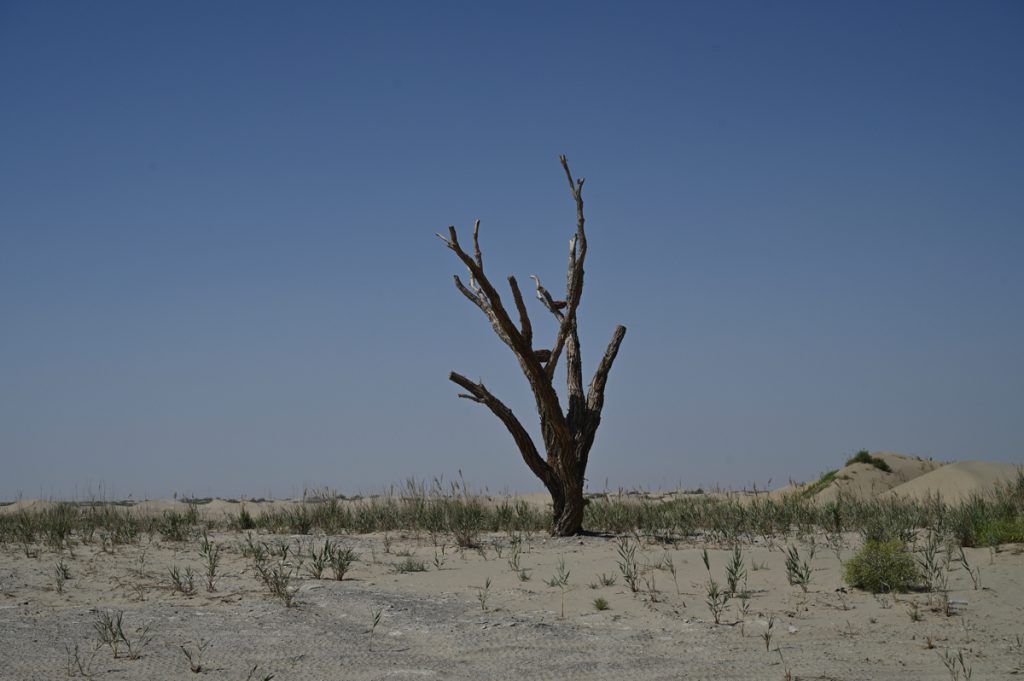 新疆ウィグル自治区・タクラマカン砂漠の写真　茫茫沙漠（果てなき砂漠）-3