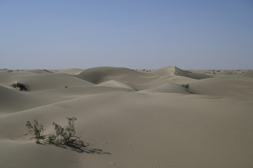 新疆ウィグル自治区・タクラマカン砂漠の写真　茫茫沙漠（果てなき砂漠）2-3