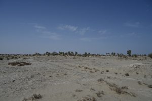 新疆ウィグル自治区・タクラマカン砂漠の写真　茫茫沙漠（果てなき砂漠）2-9