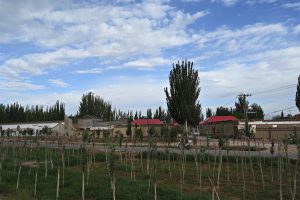 新疆ウィグル自治区・白沙湖・カラクリ湖の写真　パミールの宝石-7