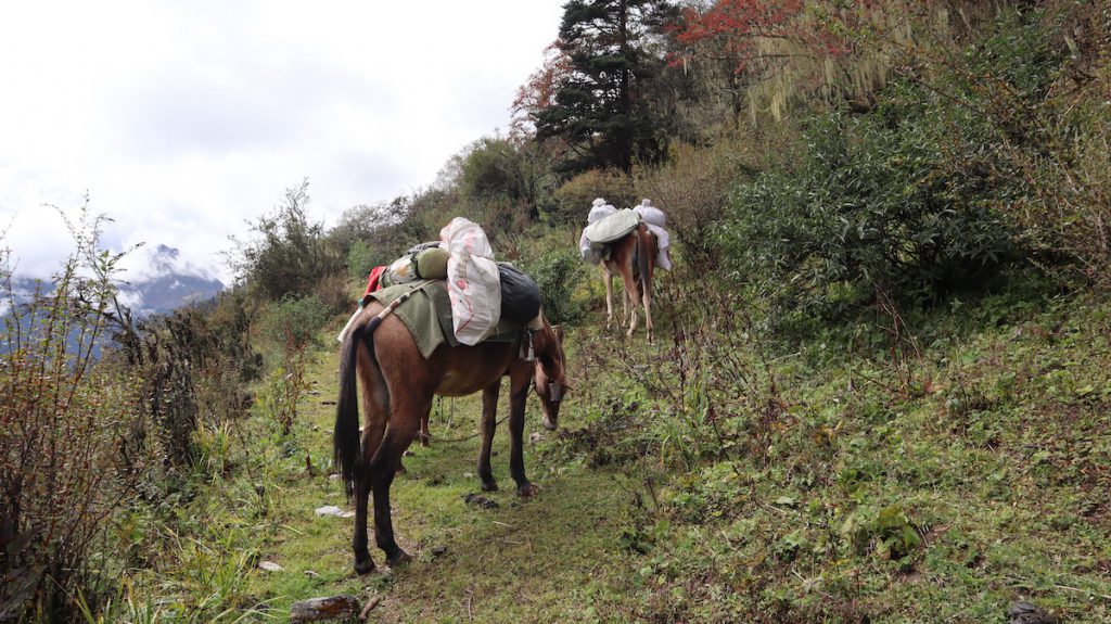 四川省・亞丁の写真　亞丁転山-1