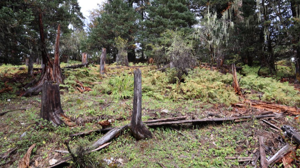 四川省・亞丁の写真　亞丁転山-2