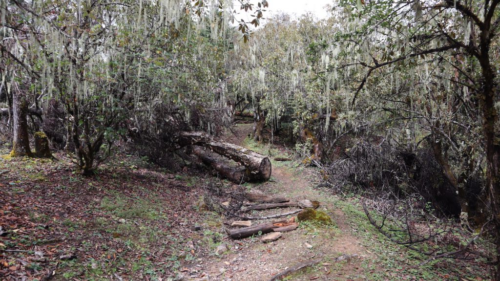 四川省・亞丁の写真　亞丁転山-5