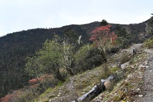 四川省・亞丁の写真　亞丁転山-6