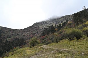 四川省・の写真 亞丁転山2-10